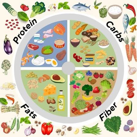 Types of Nutrition