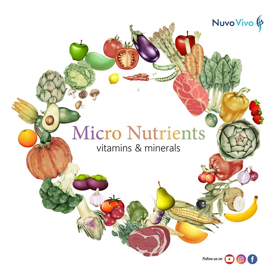 Types of Nutrition